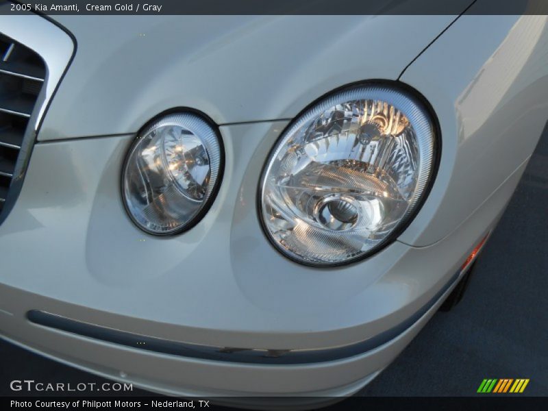 Cream Gold / Gray 2005 Kia Amanti