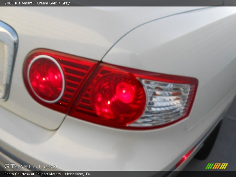 Cream Gold / Gray 2005 Kia Amanti