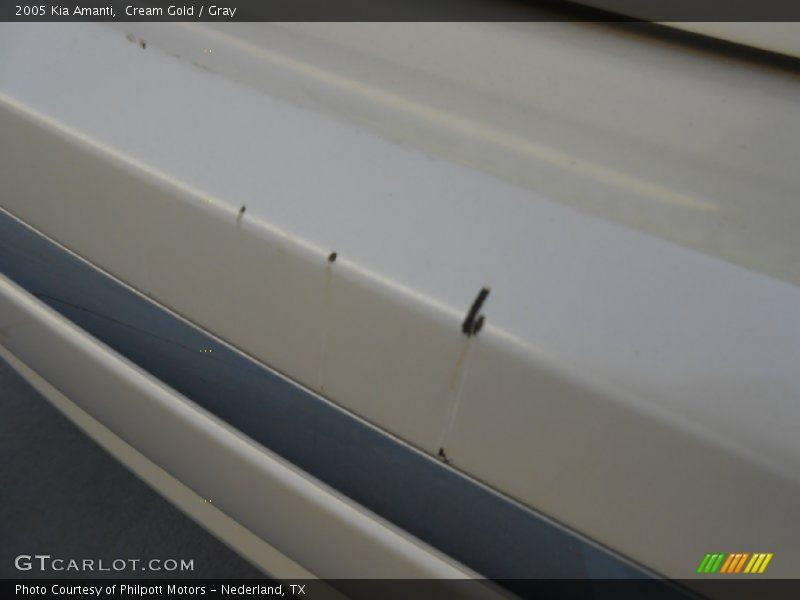 Cream Gold / Gray 2005 Kia Amanti