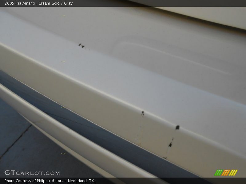 Cream Gold / Gray 2005 Kia Amanti