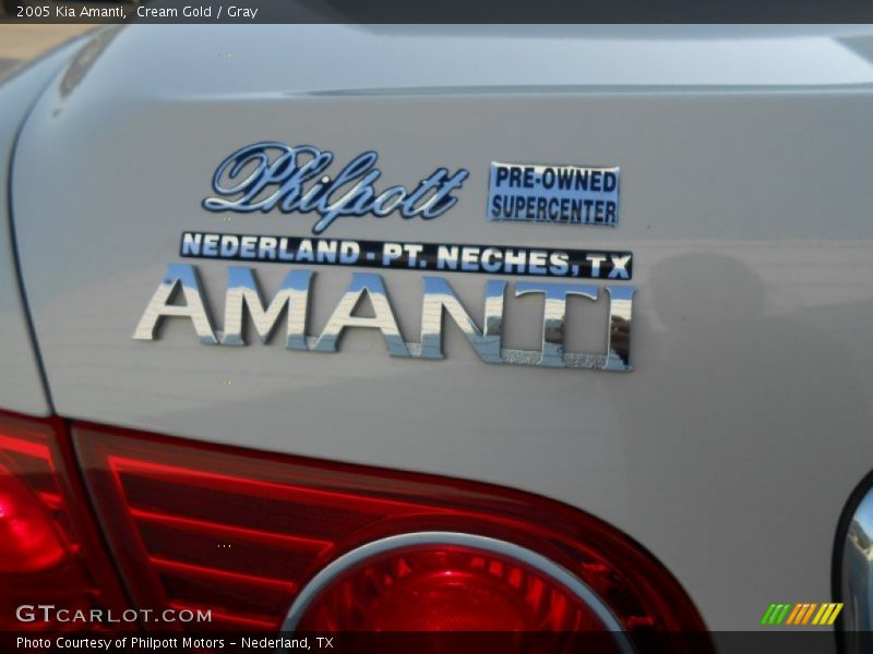 Cream Gold / Gray 2005 Kia Amanti