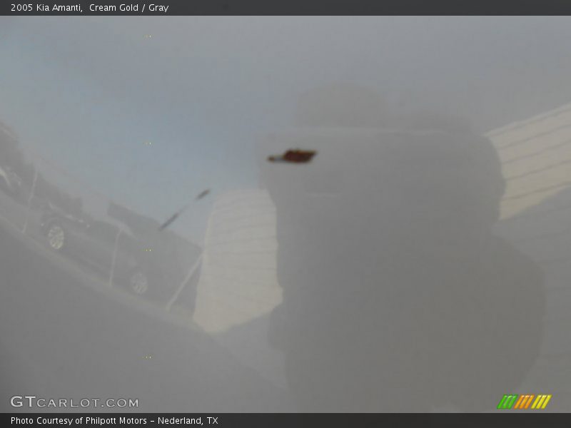 Cream Gold / Gray 2005 Kia Amanti