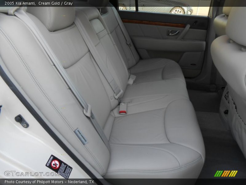 Cream Gold / Gray 2005 Kia Amanti