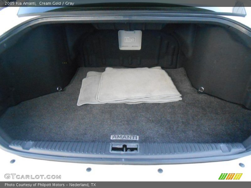 Cream Gold / Gray 2005 Kia Amanti