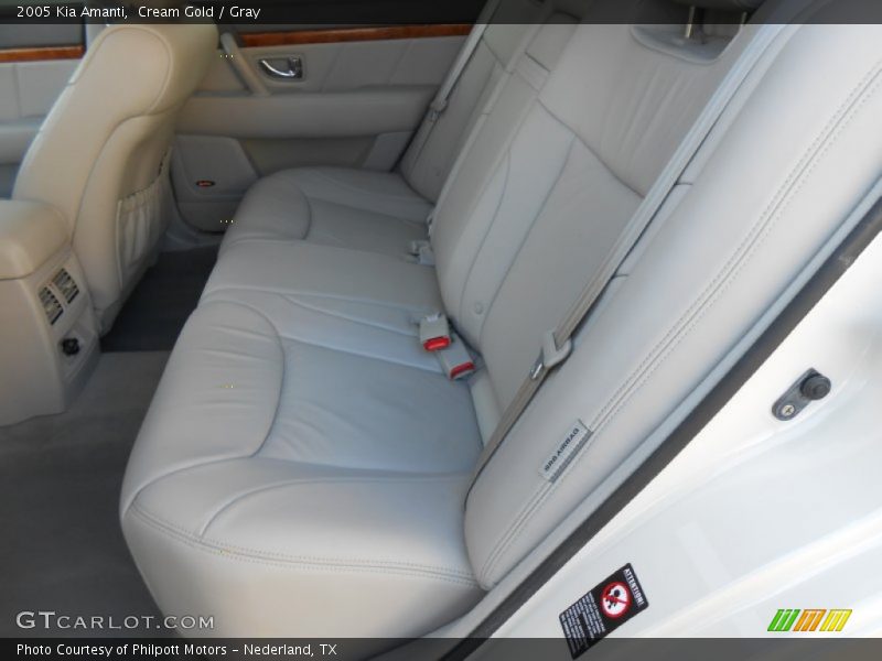 Cream Gold / Gray 2005 Kia Amanti