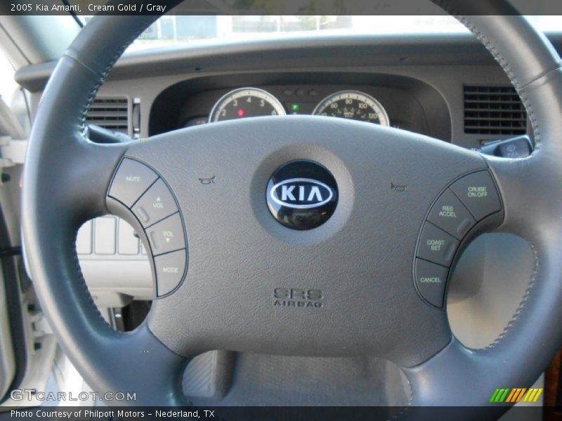 Cream Gold / Gray 2005 Kia Amanti