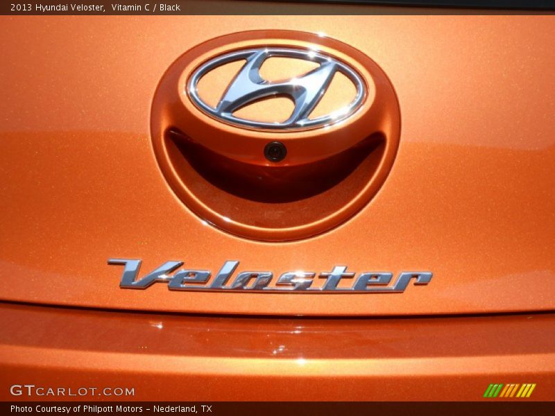 Vitamin C / Black 2013 Hyundai Veloster