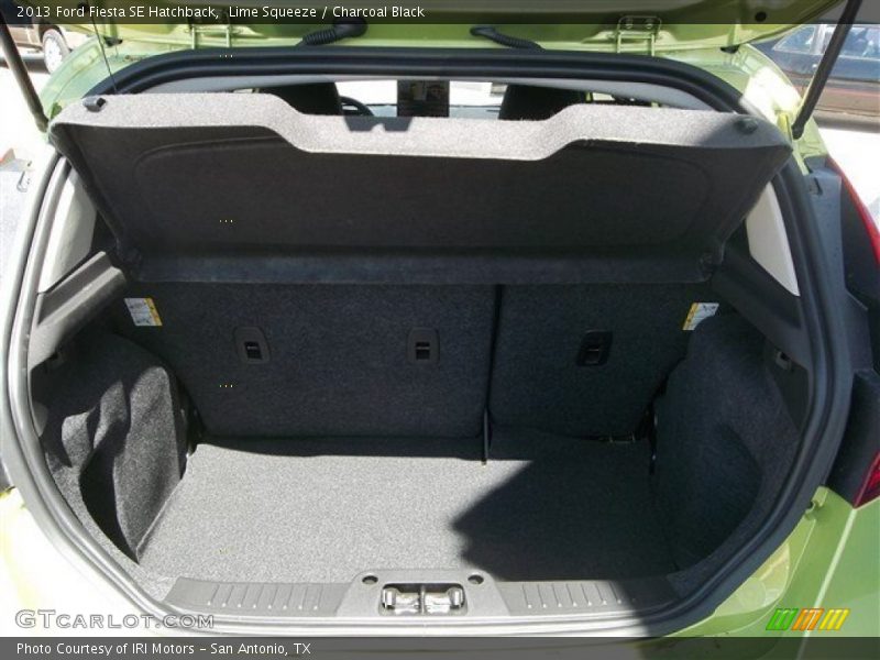 Lime Squeeze / Charcoal Black 2013 Ford Fiesta SE Hatchback