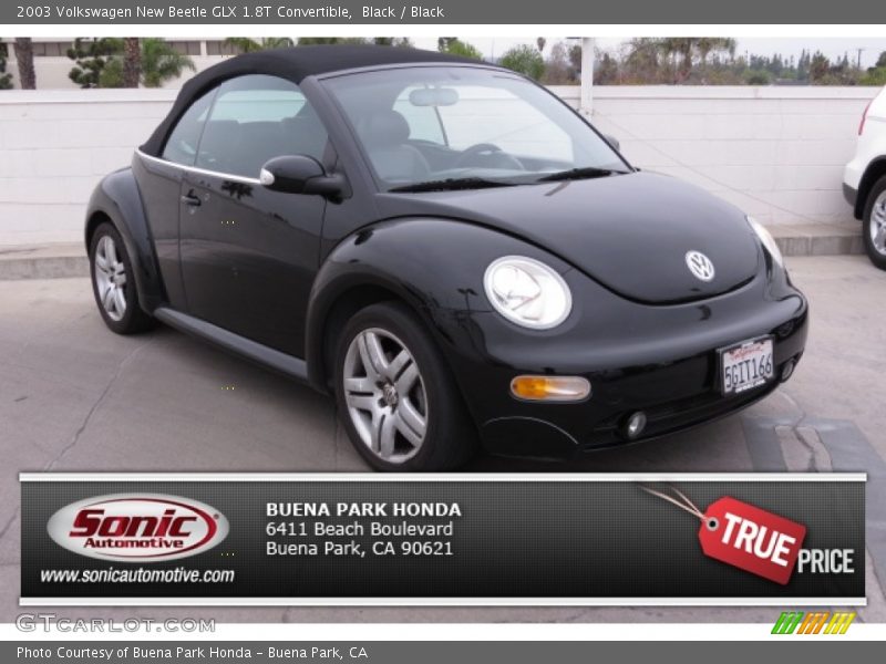 Black / Black 2003 Volkswagen New Beetle GLX 1.8T Convertible