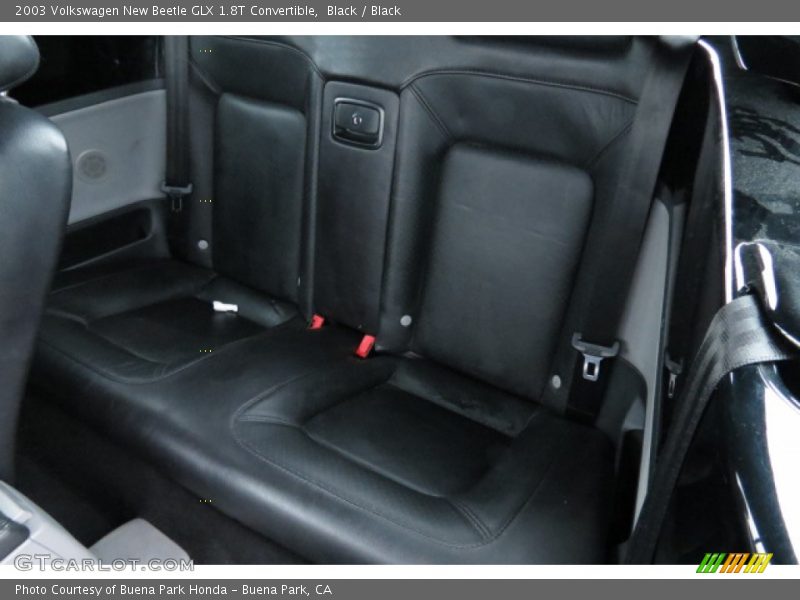 Rear Seat of 2003 New Beetle GLX 1.8T Convertible