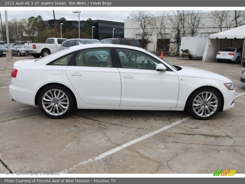 Ibis White / Velvet Beige 2013 Audi A6 3.0T quattro Sedan