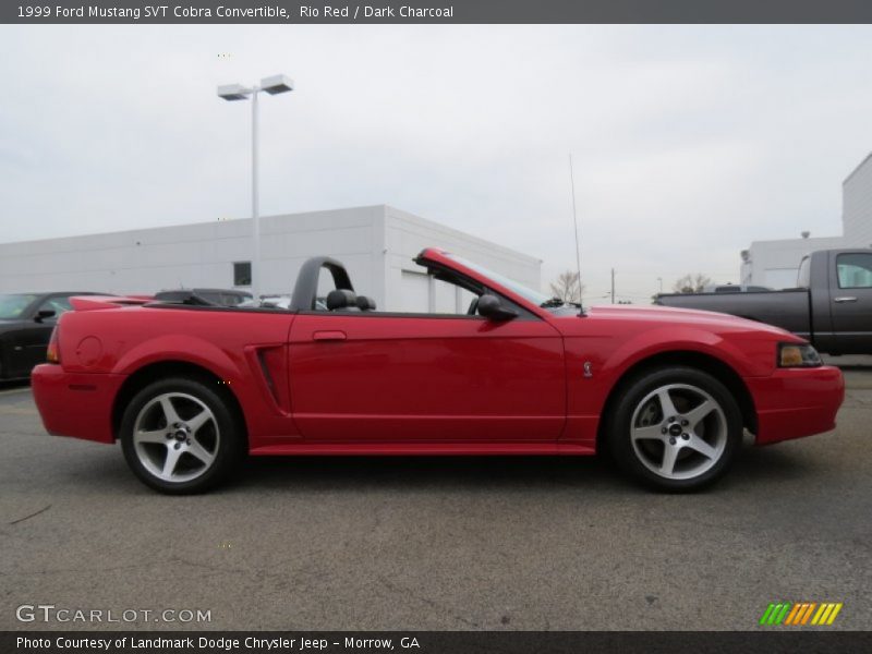 Rio Red / Dark Charcoal 1999 Ford Mustang SVT Cobra Convertible