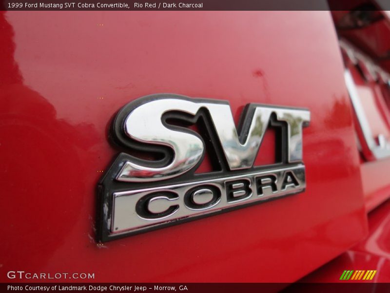 SVT Cobra - 1999 Ford Mustang SVT Cobra Convertible