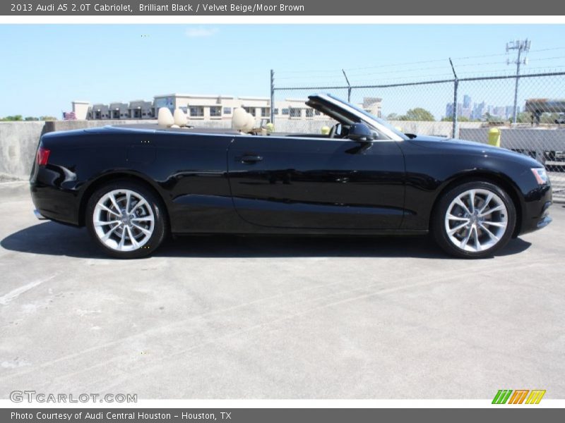 Brilliant Black / Velvet Beige/Moor Brown 2013 Audi A5 2.0T Cabriolet