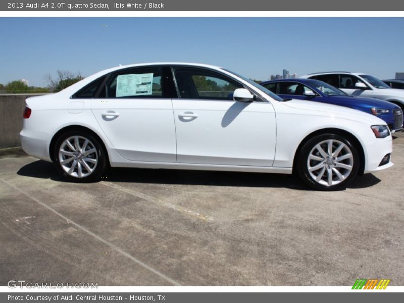  2013 A4 2.0T quattro Sedan Ibis White