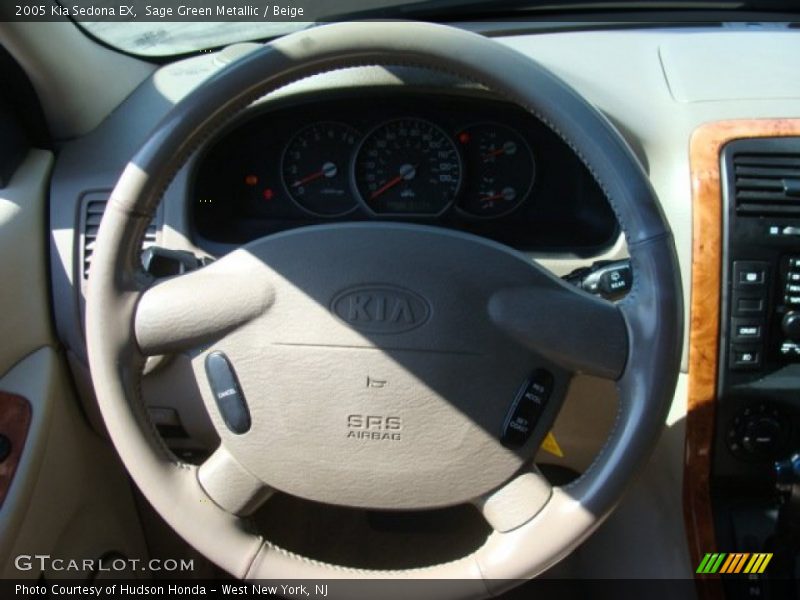 Sage Green Metallic / Beige 2005 Kia Sedona EX