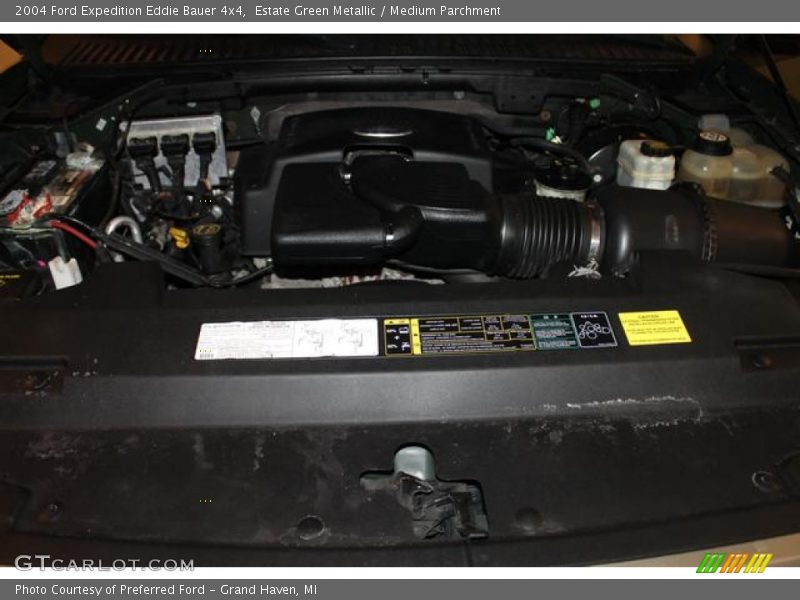 Estate Green Metallic / Medium Parchment 2004 Ford Expedition Eddie Bauer 4x4