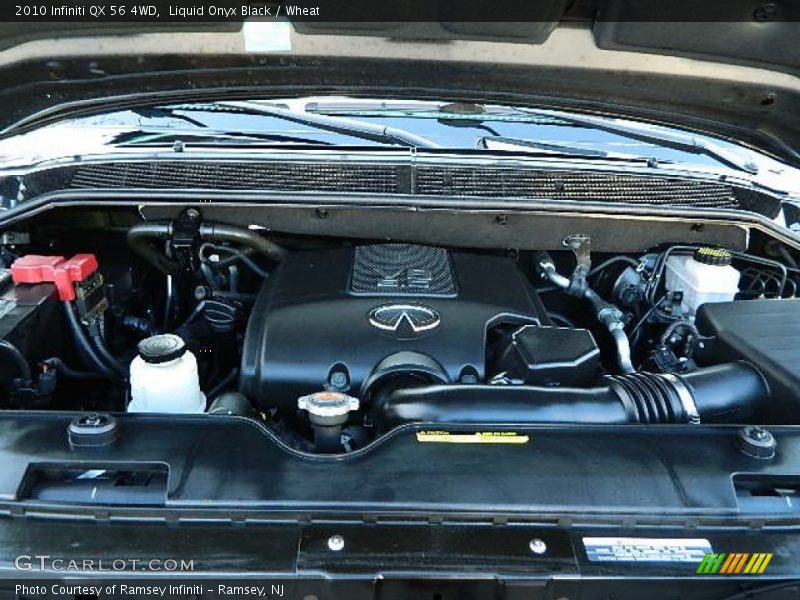 Liquid Onyx Black / Wheat 2010 Infiniti QX 56 4WD
