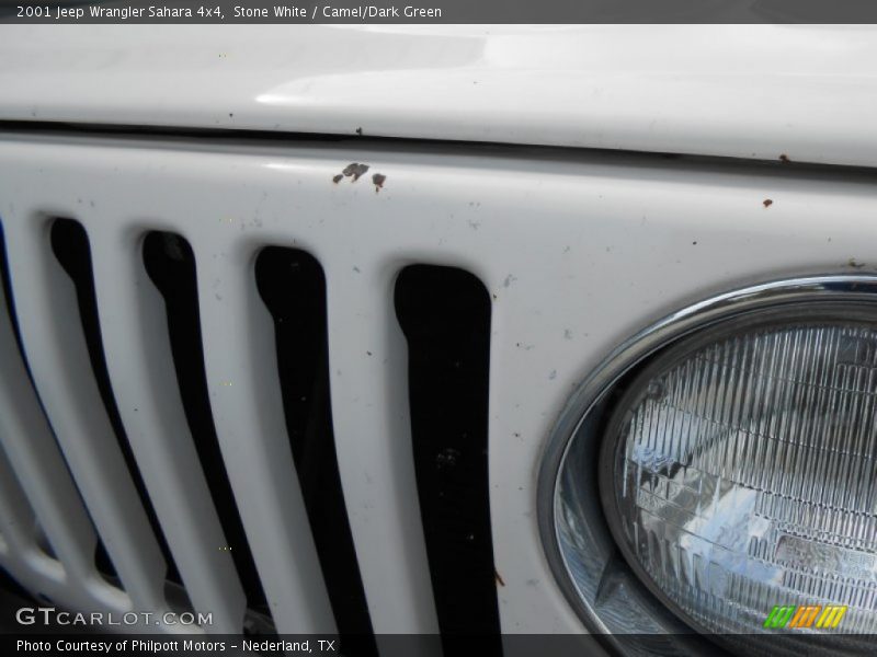 Stone White / Camel/Dark Green 2001 Jeep Wrangler Sahara 4x4