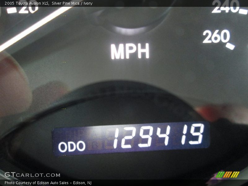 Silver Pine Mica / Ivory 2005 Toyota Avalon XLS