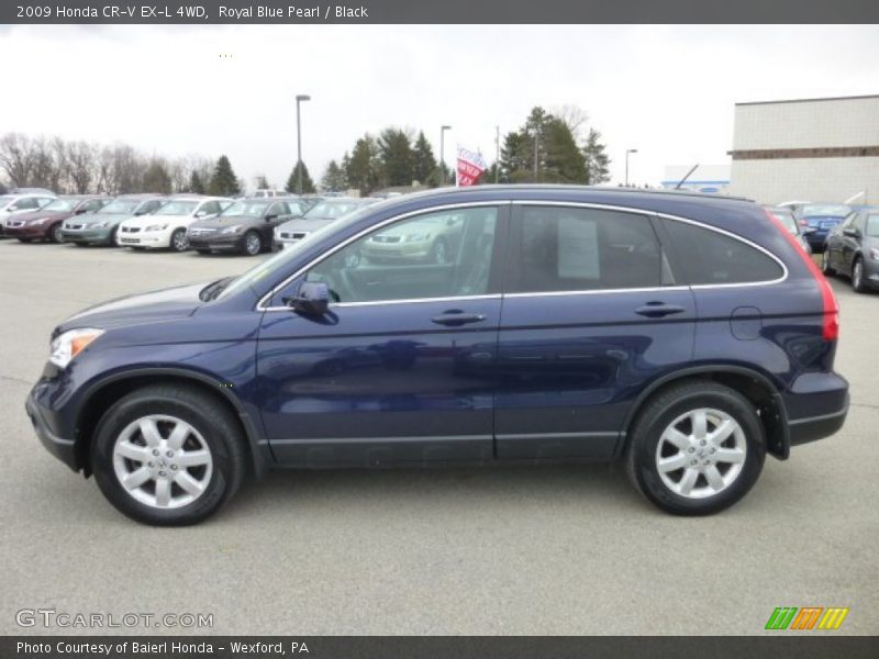 Royal Blue Pearl / Black 2009 Honda CR-V EX-L 4WD