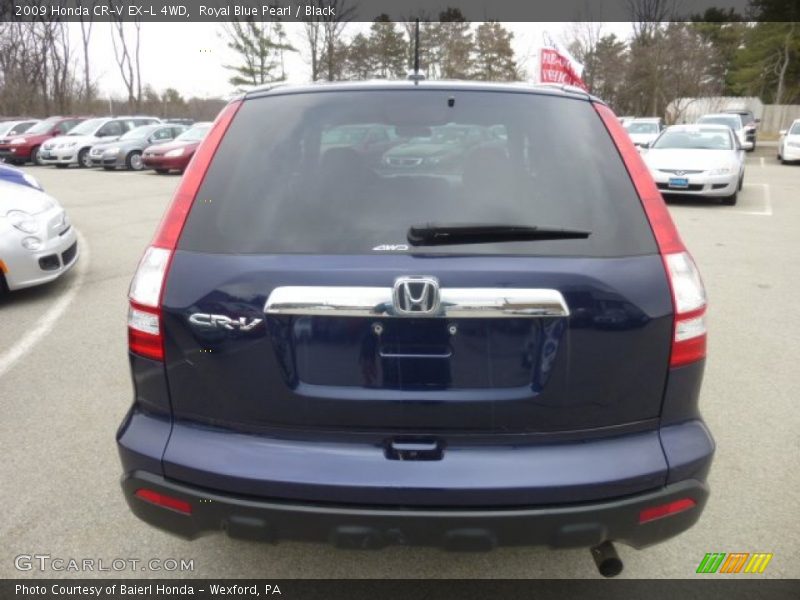 Royal Blue Pearl / Black 2009 Honda CR-V EX-L 4WD