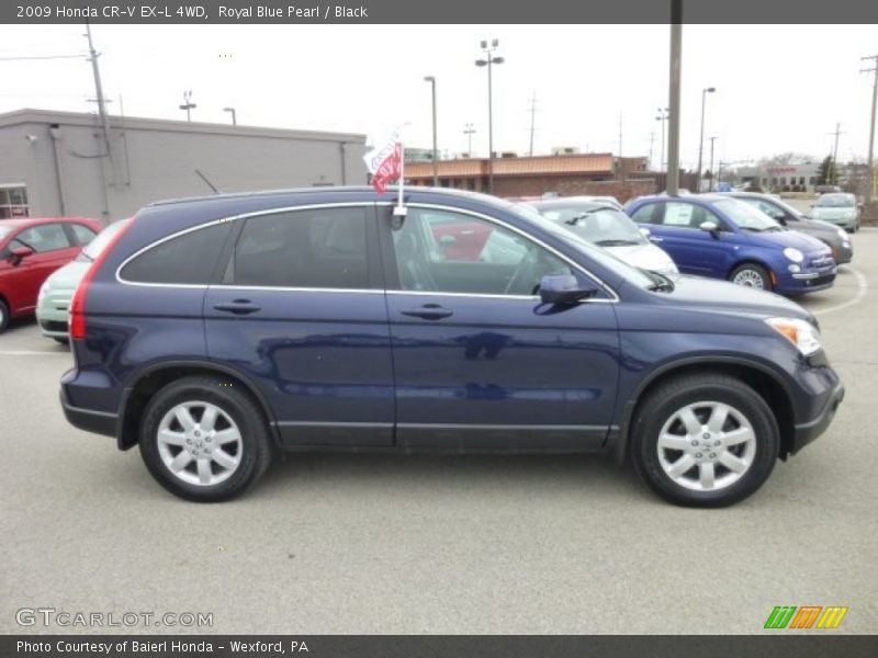 Royal Blue Pearl / Black 2009 Honda CR-V EX-L 4WD