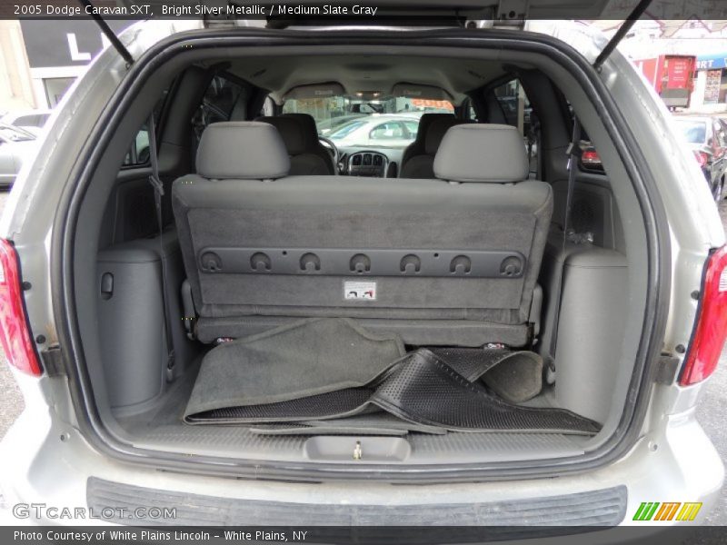Bright Silver Metallic / Medium Slate Gray 2005 Dodge Caravan SXT