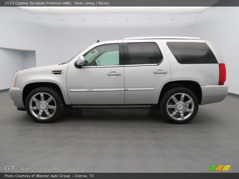 Silver Lining / Ebony 2010 Cadillac Escalade Premium AWD