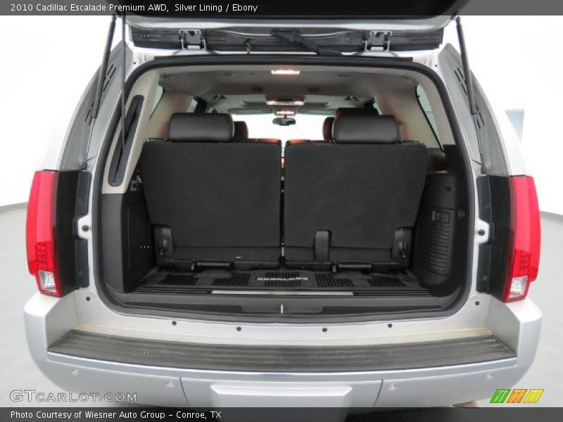 Silver Lining / Ebony 2010 Cadillac Escalade Premium AWD