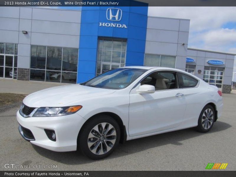 White Orchid Pearl / Black/Ivory 2013 Honda Accord EX-L Coupe