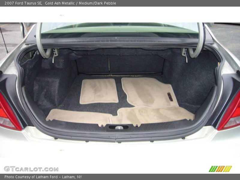 Gold Ash Metallic / Medium/Dark Pebble 2007 Ford Taurus SE