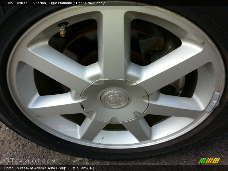 Light Platinum / Light Gray/Ebony 2005 Cadillac CTS Sedan