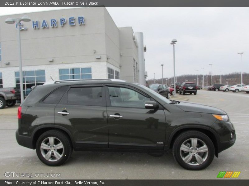  2013 Sorento EX V6 AWD Tuscan Olive