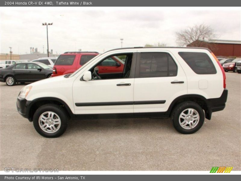  2004 CR-V EX 4WD Taffeta White