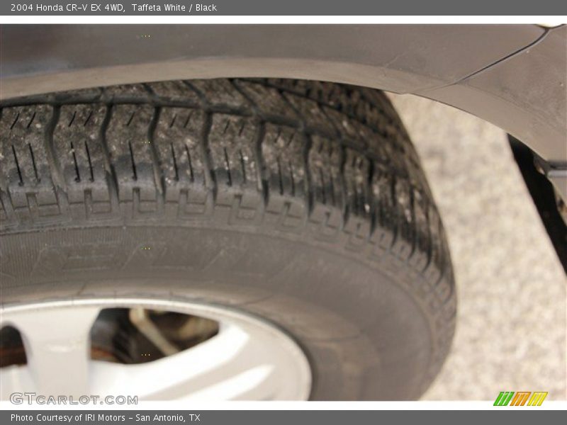 Taffeta White / Black 2004 Honda CR-V EX 4WD