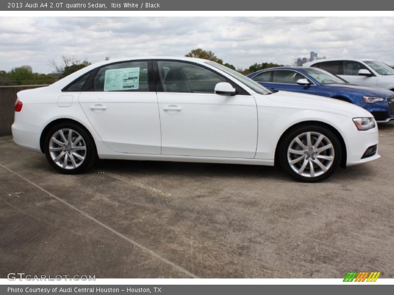  2013 A4 2.0T quattro Sedan Ibis White
