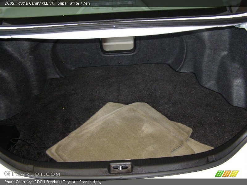 Super White / Ash 2009 Toyota Camry XLE V6