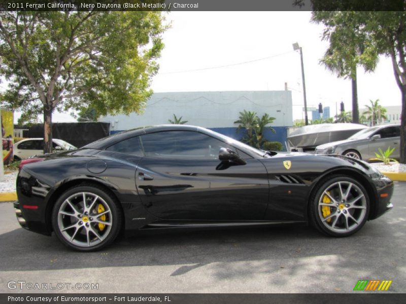  2011 California  Nero Daytona (Black Metallic)