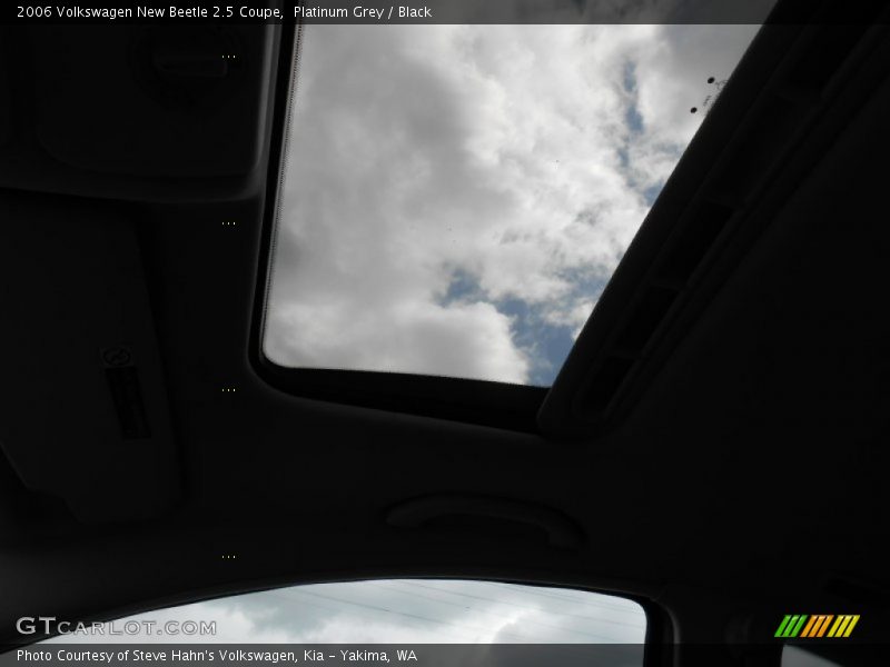 Platinum Grey / Black 2006 Volkswagen New Beetle 2.5 Coupe