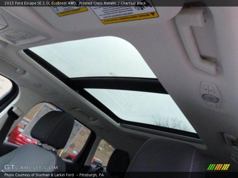 Frosted Glass Metallic / Charcoal Black 2013 Ford Escape SE 2.0L EcoBoost 4WD