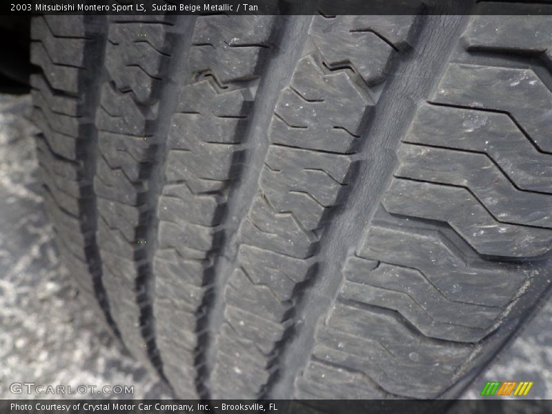 Sudan Beige Metallic / Tan 2003 Mitsubishi Montero Sport LS