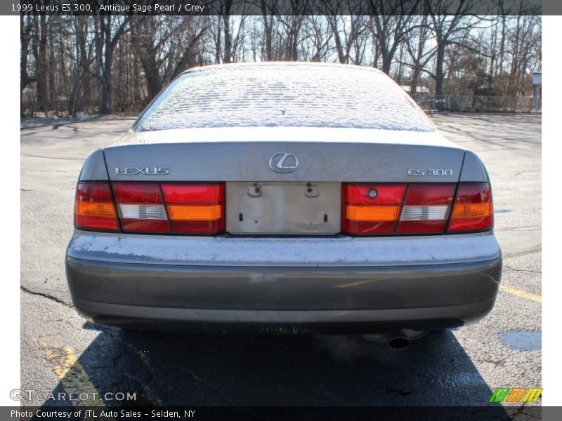 Antique Sage Pearl / Grey 1999 Lexus ES 300