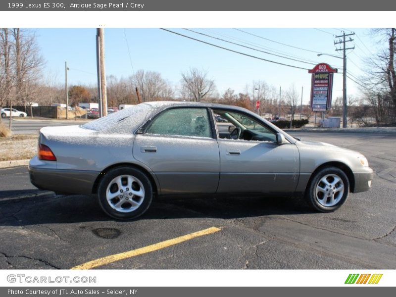 Antique Sage Pearl / Grey 1999 Lexus ES 300
