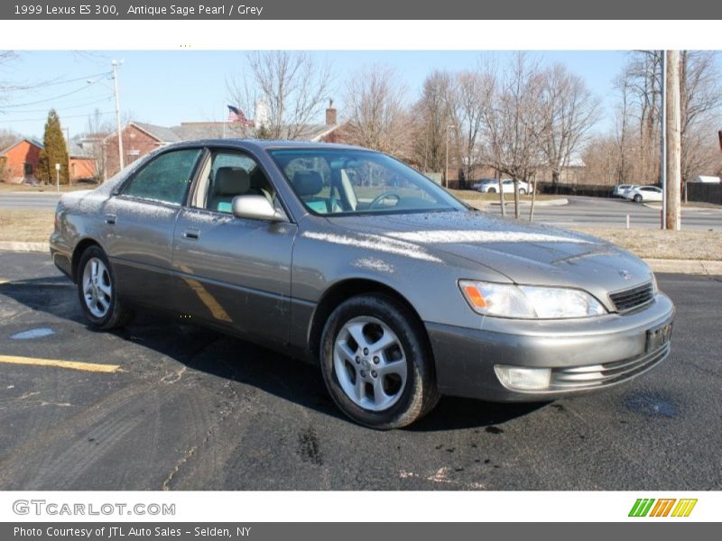 Antique Sage Pearl / Grey 1999 Lexus ES 300