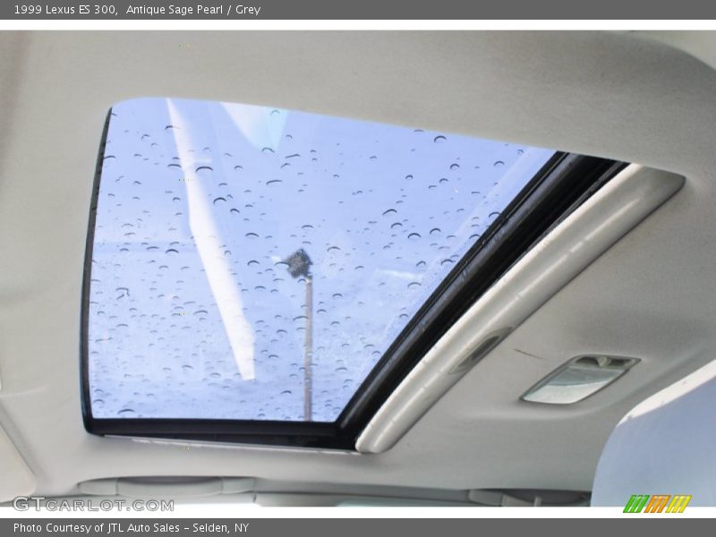 Antique Sage Pearl / Grey 1999 Lexus ES 300