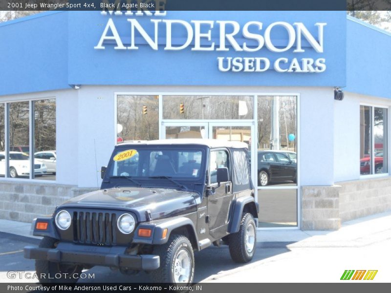 Black / Agate Black 2001 Jeep Wrangler Sport 4x4