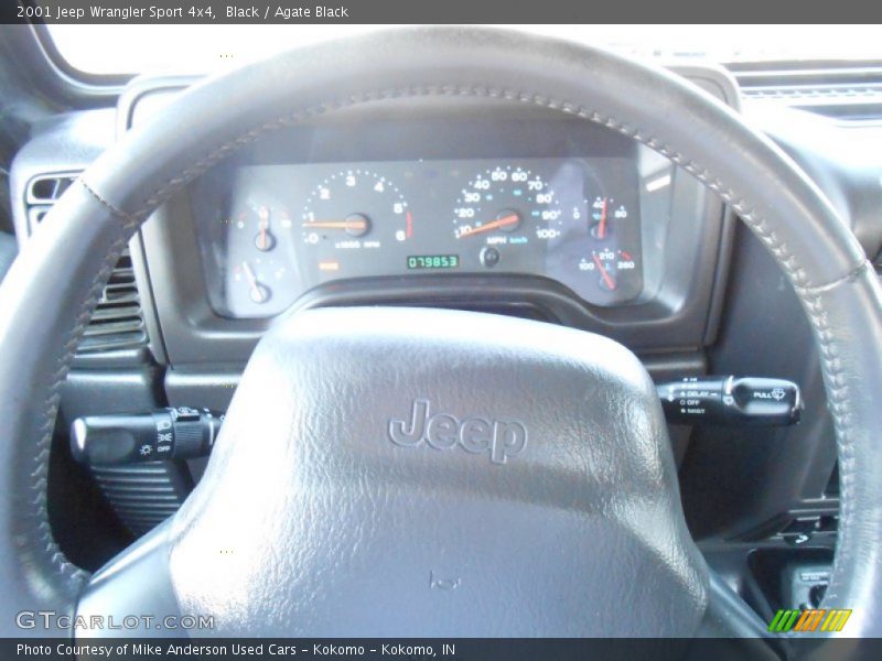 Black / Agate Black 2001 Jeep Wrangler Sport 4x4