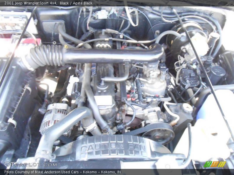 Black / Agate Black 2001 Jeep Wrangler Sport 4x4
