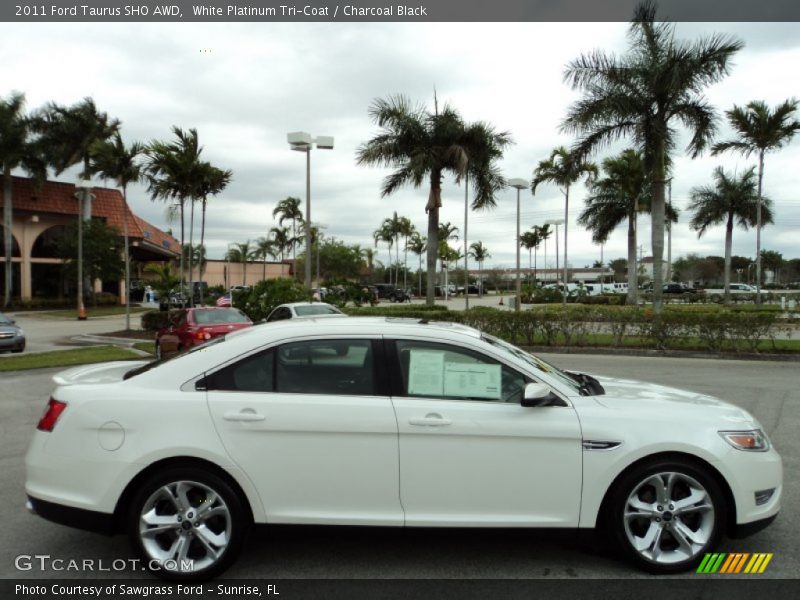 White Platinum Tri-Coat / Charcoal Black 2011 Ford Taurus SHO AWD
